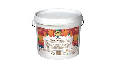 Gelina Classic Albicocca Masterline KG.6