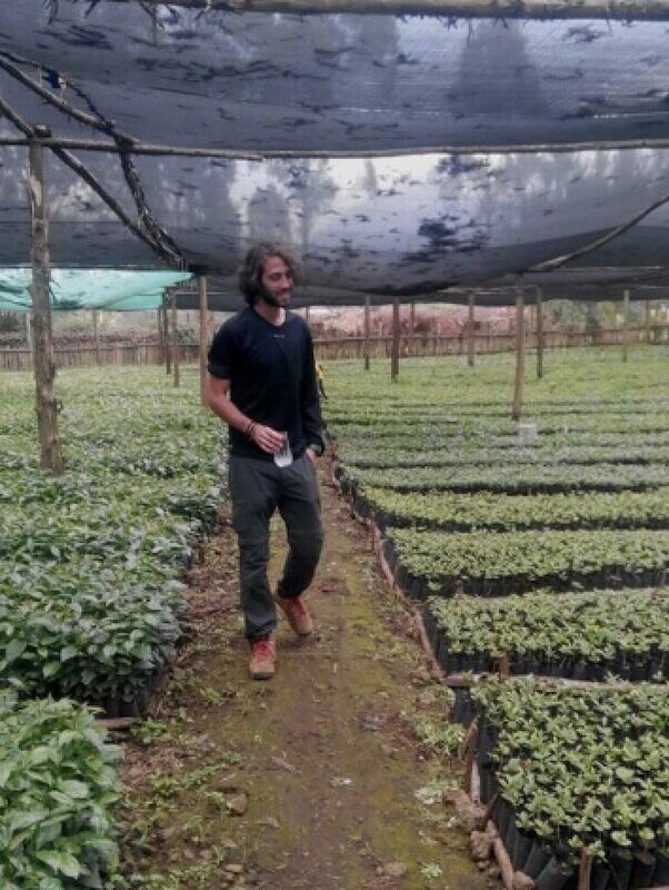 Discover the Magic of Coffee in Uganda