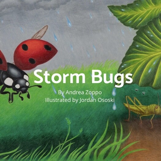 Storm Bugs