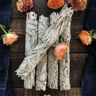 Jumbo Sage