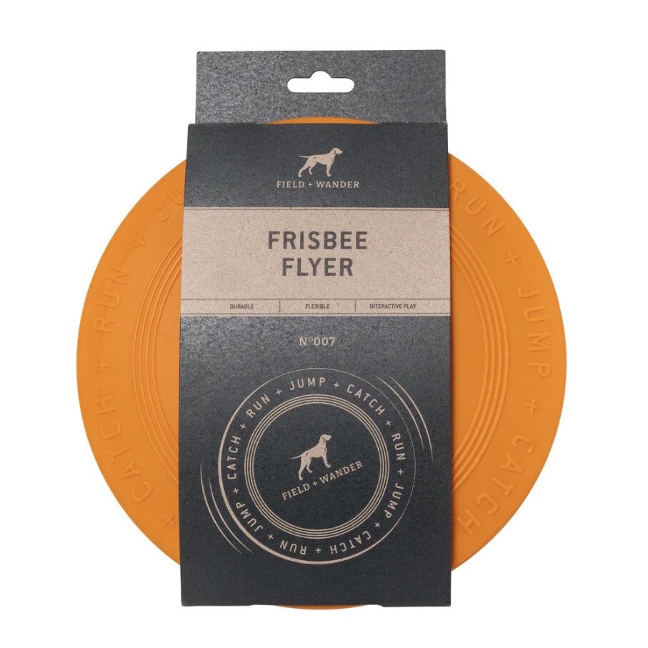 Frisbee Flyer