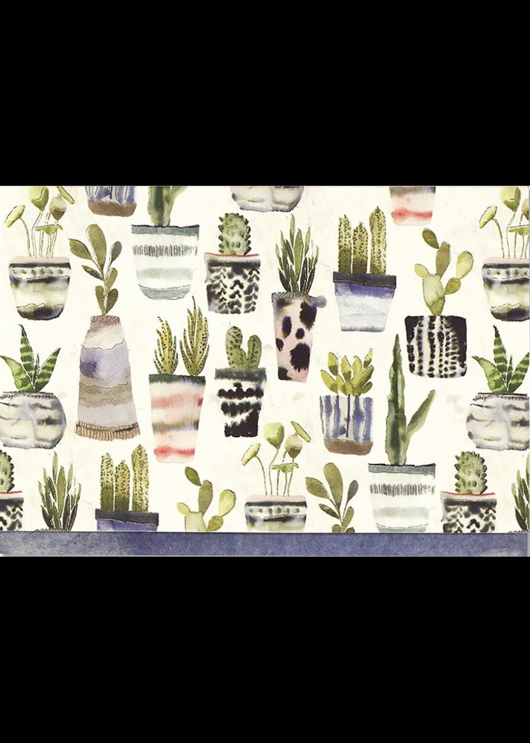 Watercolor Succulents Note Cards
