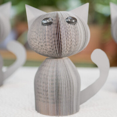 Book Paper Cat