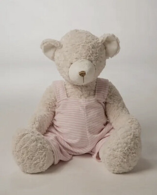 Pink Teddy Bear