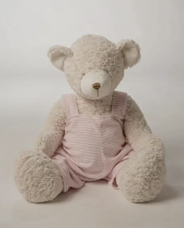 Pink Teddy Bear