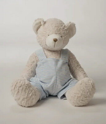 Blue Teddy Bear