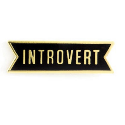 Introvert Pin