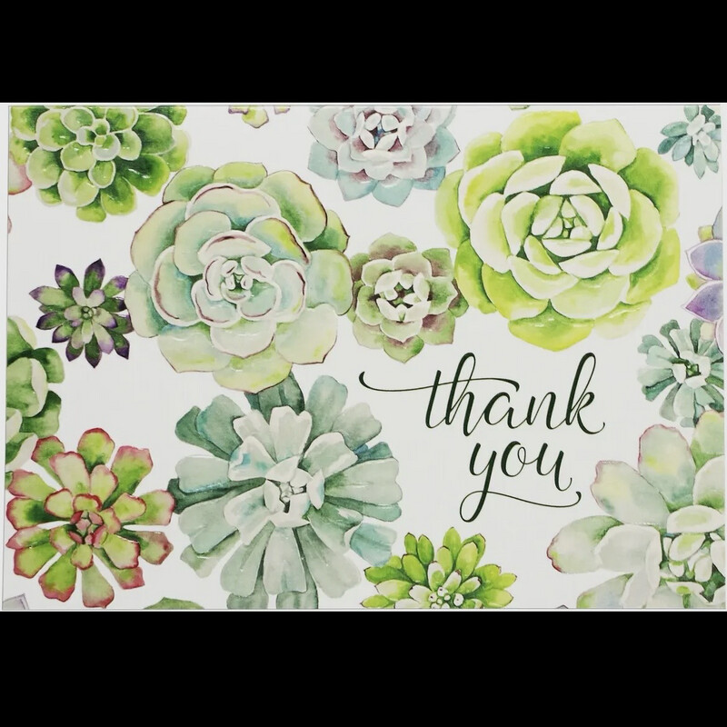Succulent Thank You Note Cards