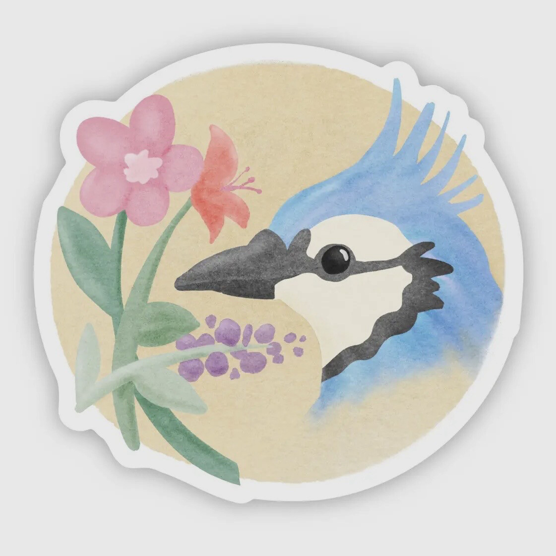 Blue Jay Sticker