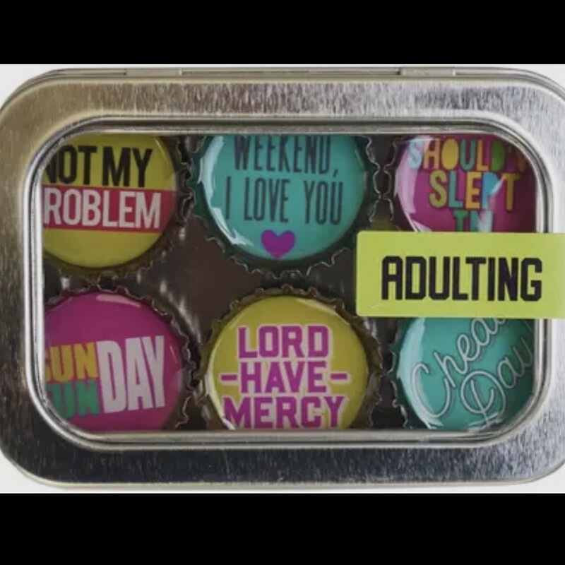 Adulting Set Of Magnets