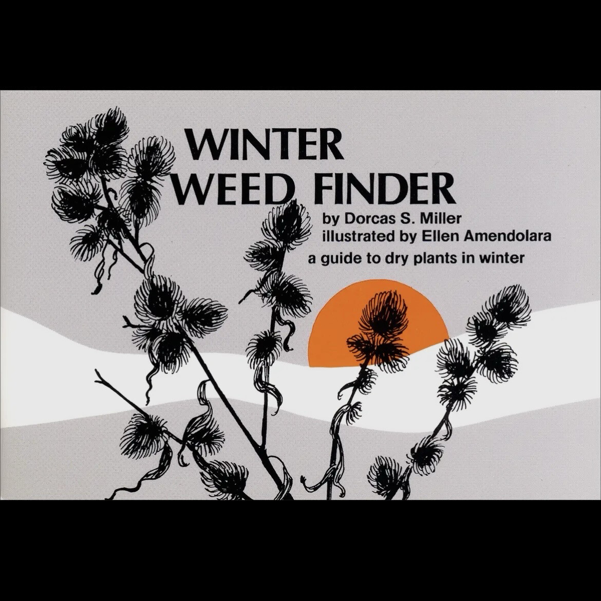 Winter Weed Finder Book
