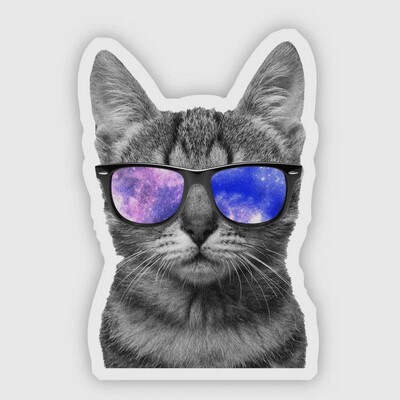 Cat With Shades Sticker