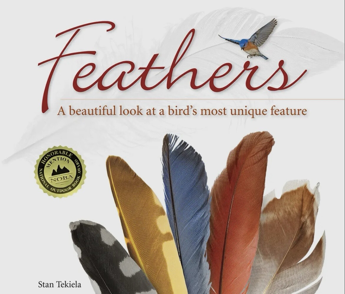 Feathers Book