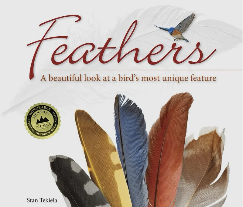 Feathers Book