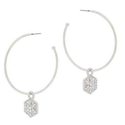 Charm Dangle Earrings
