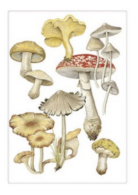 Mary Lake Mushroom Tea Towel