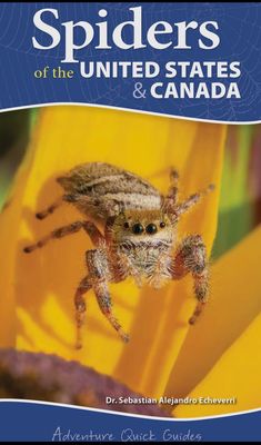 Spiders Quick Guide Book