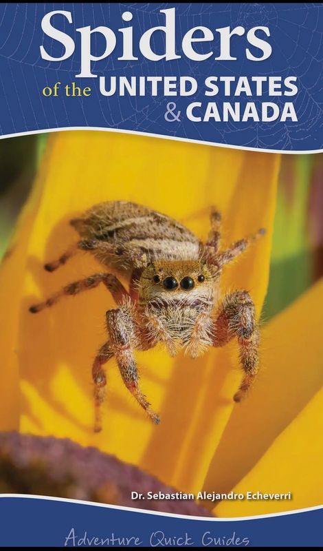 Spiders Quick Guide Book