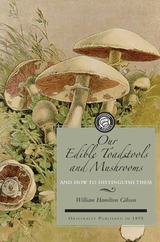 Edible Toadstools &amp; Mushrooms Book