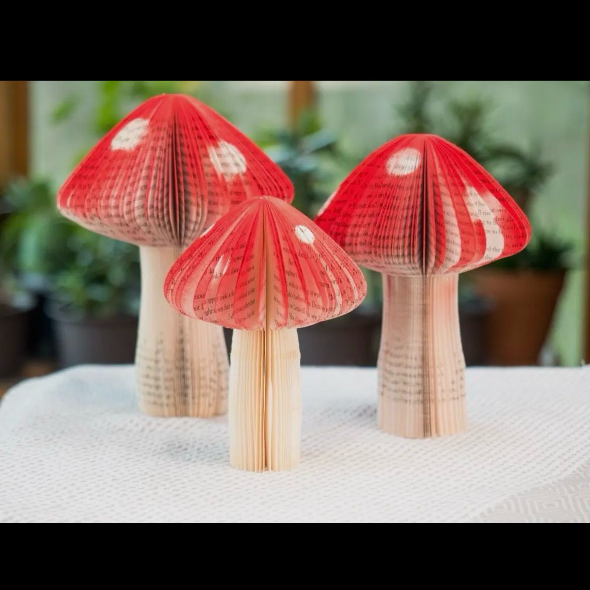 Paper Book Mushrooms