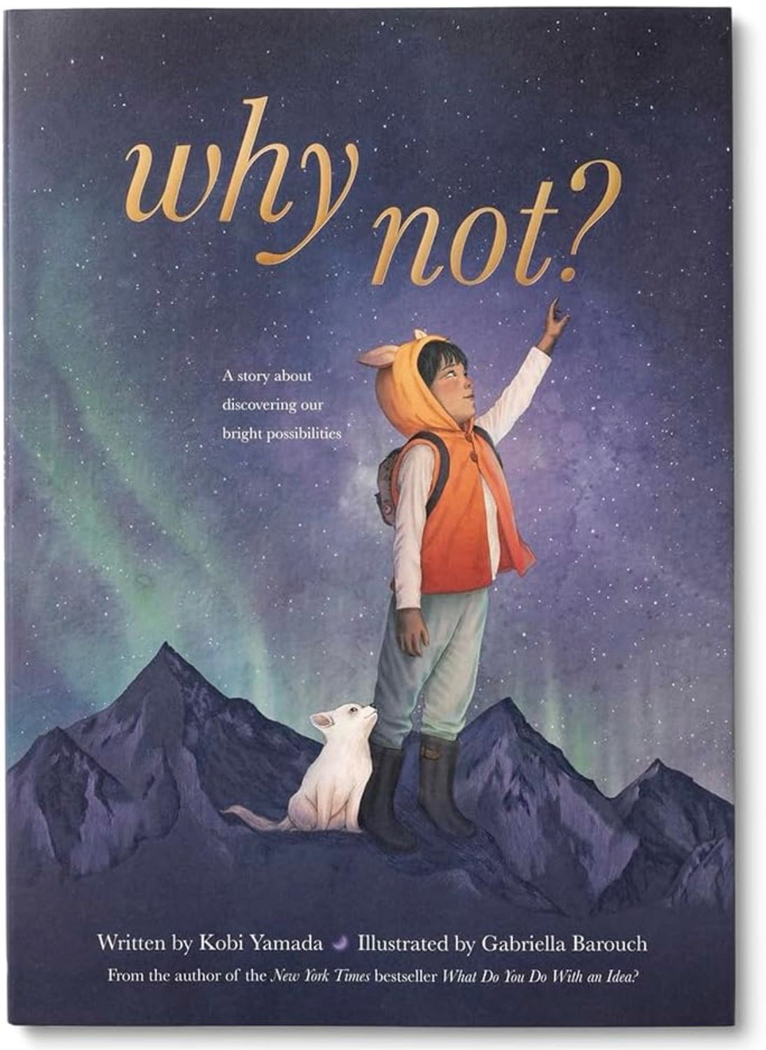 Why Not Illustrated Book