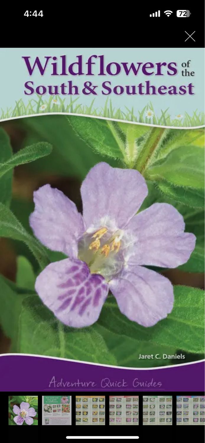 Wildflowers Of The Southeast Quick Guide Book