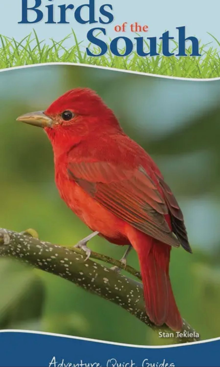 Birds Of The South Quick Guide Book