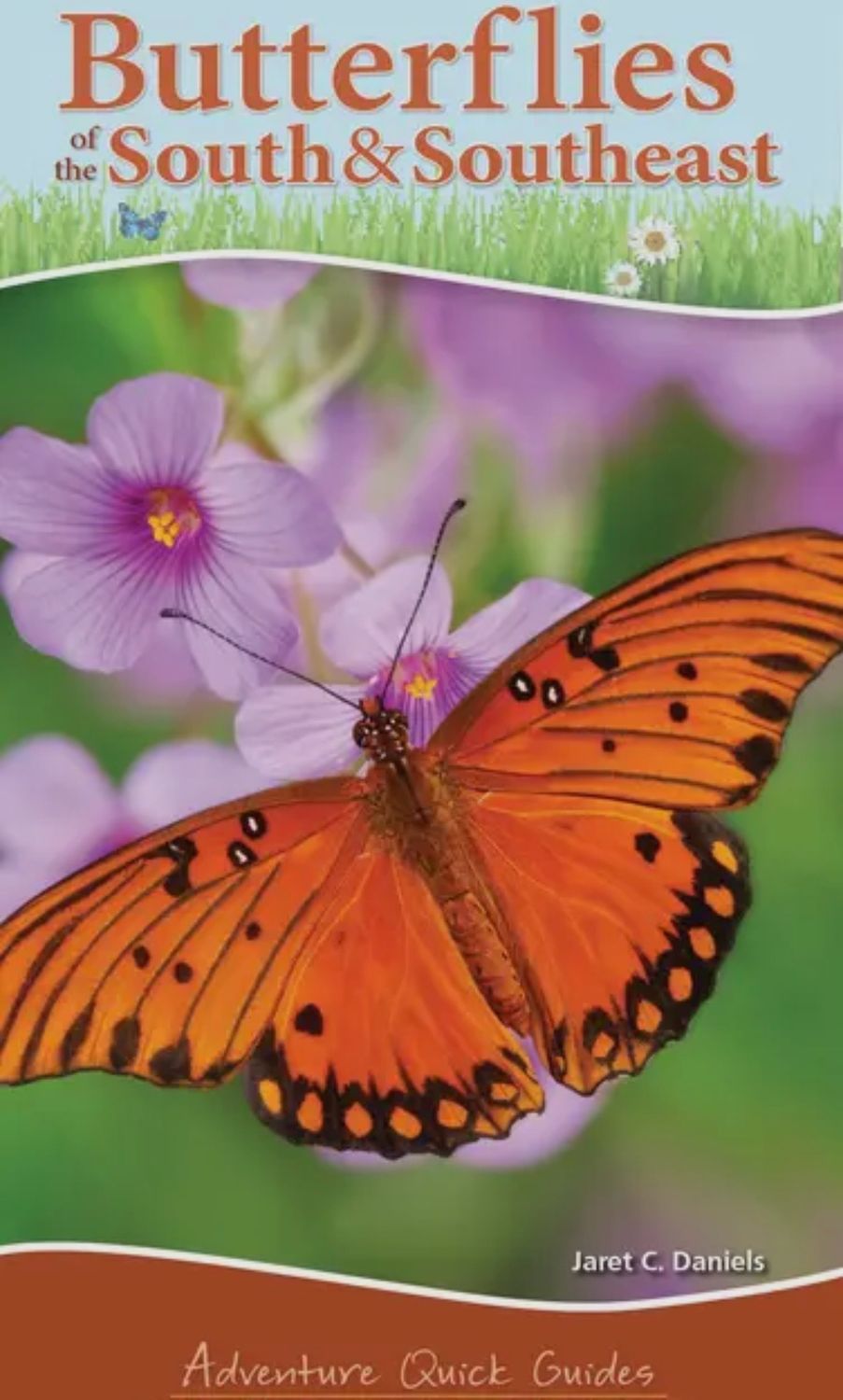 Butterflies Of The Southeast Quick Guide Book