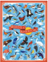 Birds of North America Puzzle