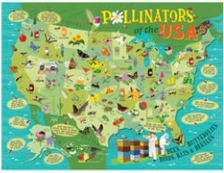 Pollinators of the US Puzzle