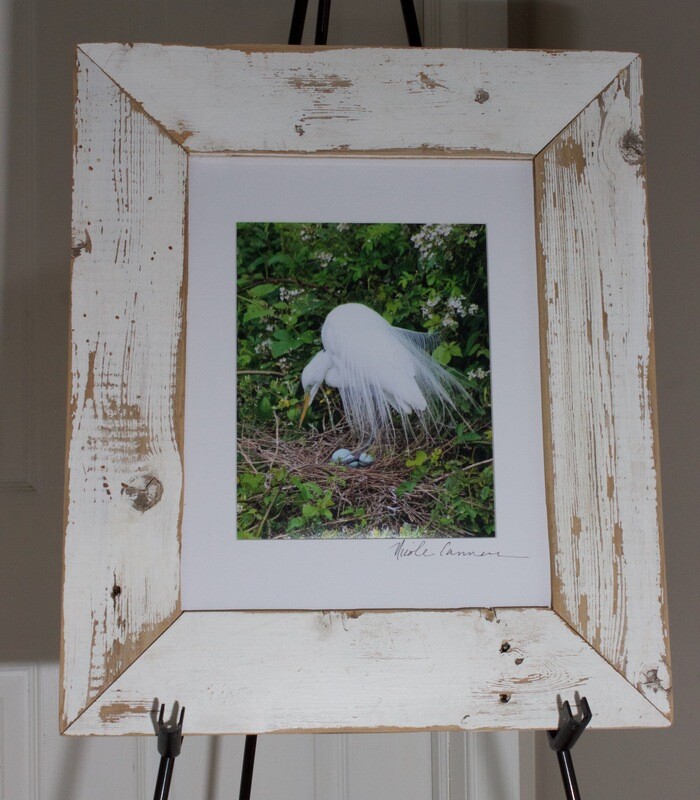 Great Egret