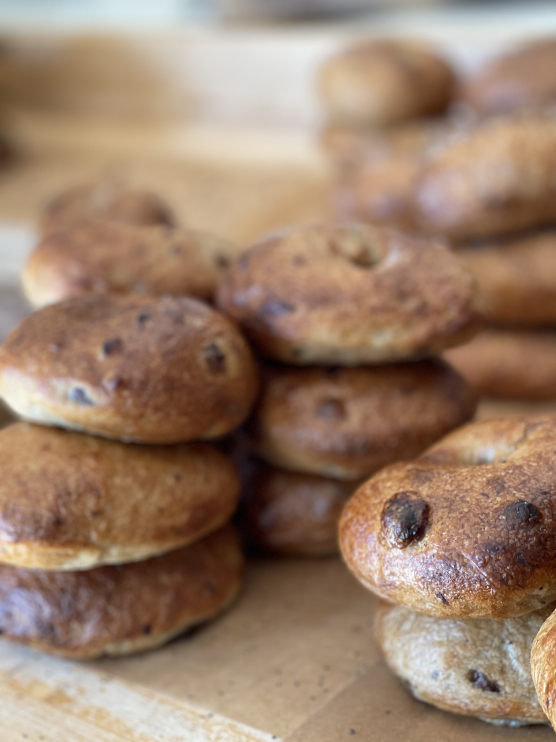 SOURDOUGH BAGEL - CINNY RAISIN