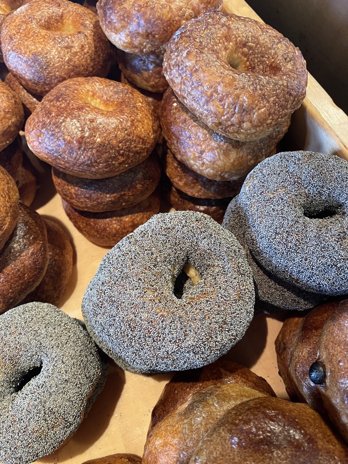 SOURDOUGH BAGEL - HIMALAYAN BLUE POPPY 