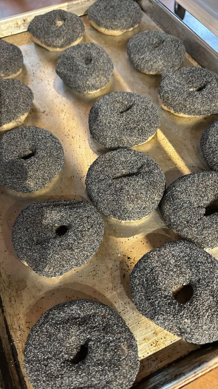 SOURDOUGH BAGEL - HIMALAYAN BLUE POPPY (HOL)