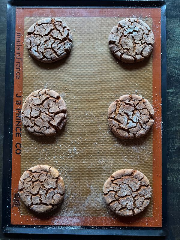 Sparkly Ginger Cookie, 3 of them (HOL)