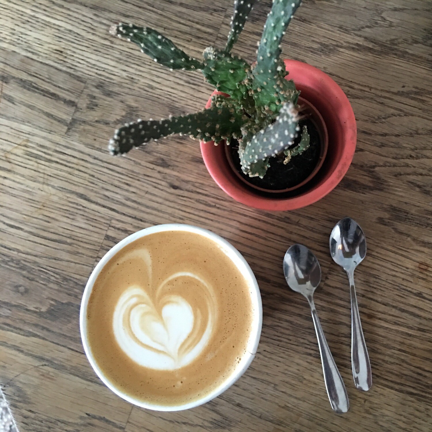 COFFEE BEANS: Jacks X Badass Bagels (!) (HOL)
