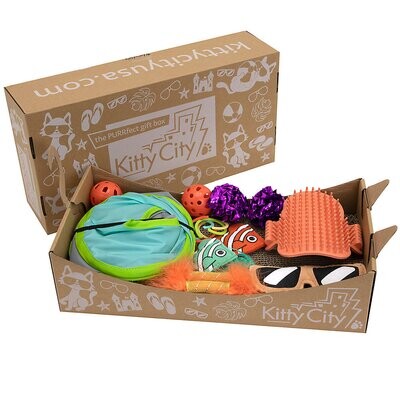 Deluxe Toy Box, Toys for Kitten