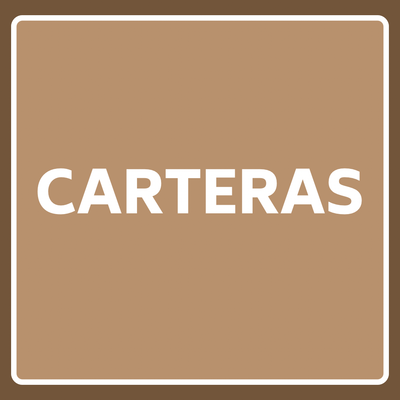 Bolsos y Carteras
