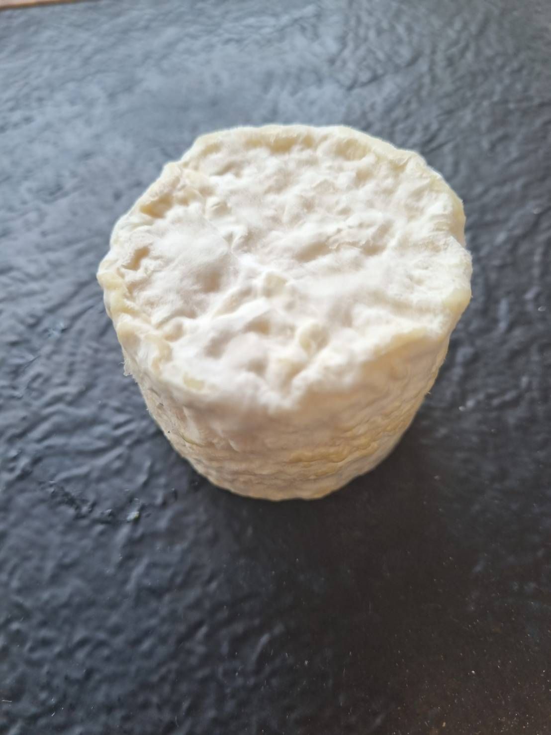 Crottins de Chèvres (Goat Cheese) - Semi dry