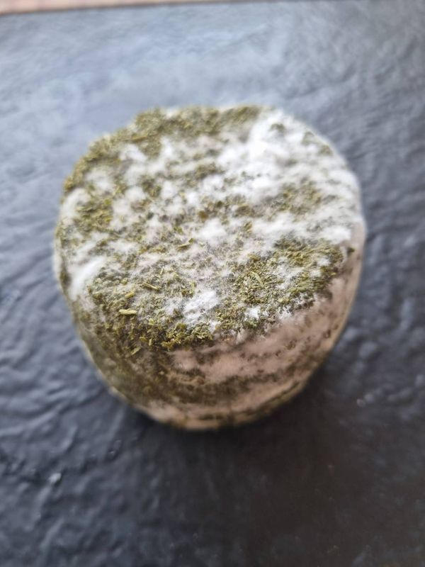 Goat cheese crotin with herbs