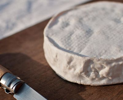 Camembert