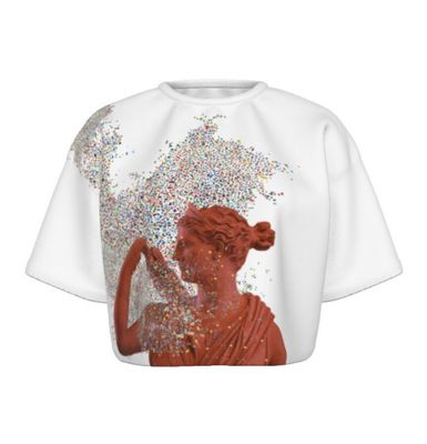 Confetti Crop Top