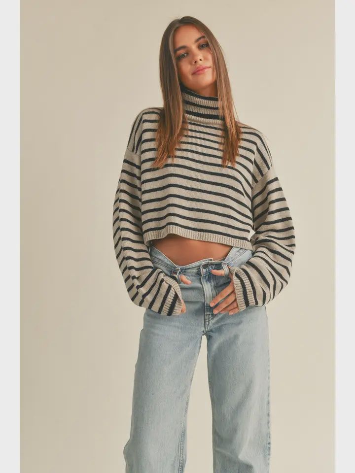 Striped Turtle Neck Crop Sweater- Mocha/Black