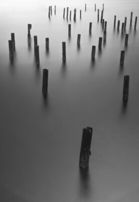 Pilings in Puget Sound