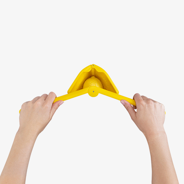 Fluicer - Lemon