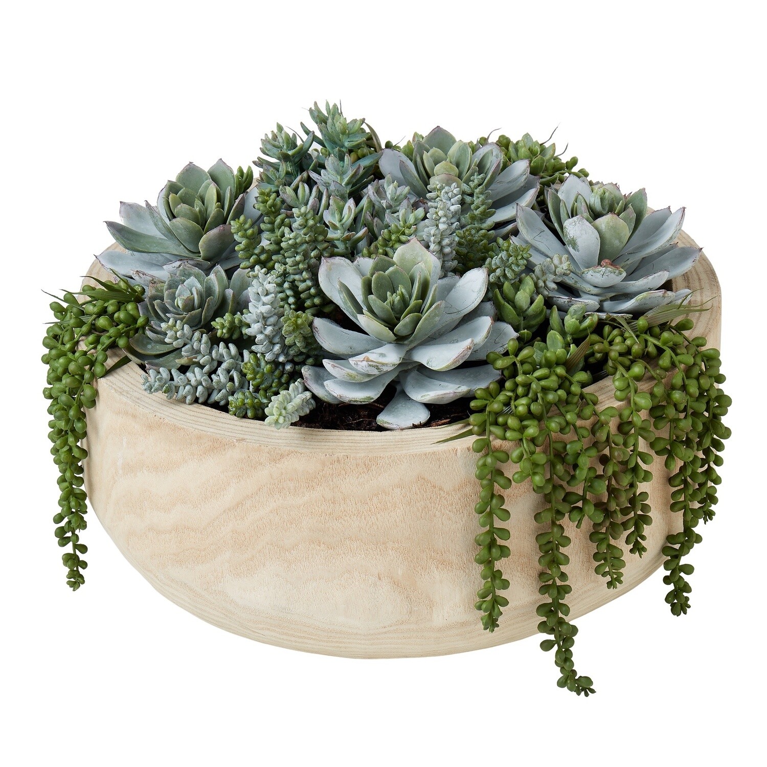 Succulent Garden - Bowl