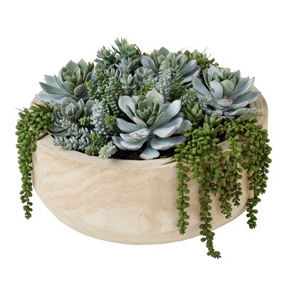 Succulent Garden - Bowl