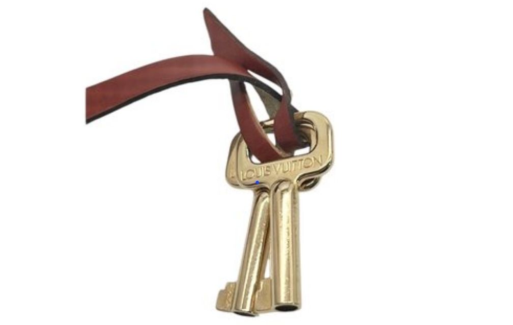 Louis Vuitton Serie Dragonne Cognac brown Epi Leather Clutch Bag