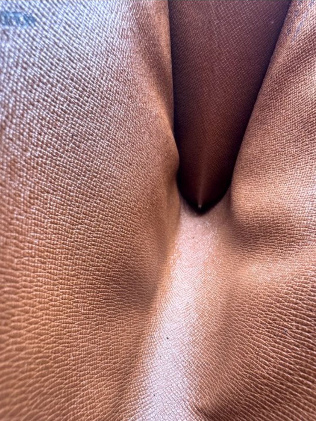 Louis Vuitton Browm monogram Bordeaux Shoulder Bag