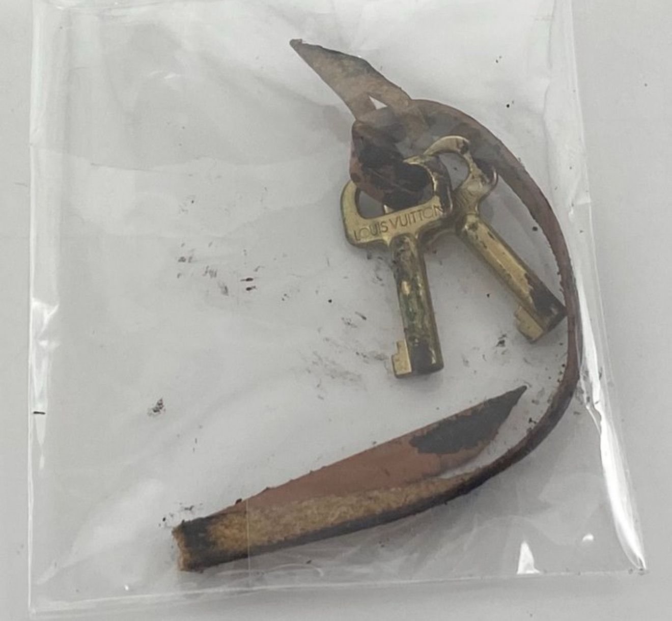 Louis Vuitton Cognac brown Serie Dragonne Epi leather Clutch bag 